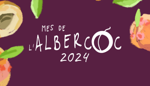 Fira Albercoc