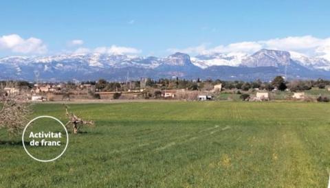 UOM a Mallorca 2025