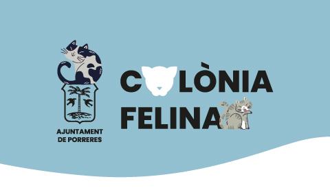 colonia-felina